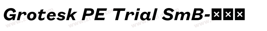 Grotesk PE Trial SmB字体转换